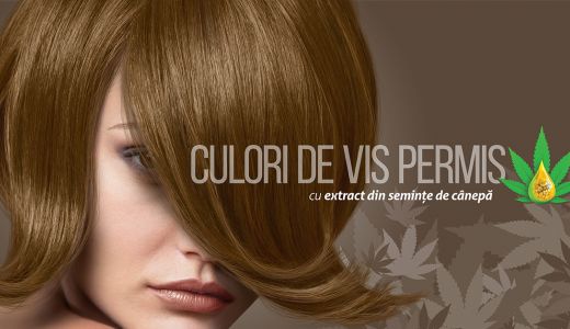 LONCOLOR lansează gama de vopsea permanentă LONCOLOR EXPERT HEMPStyle și serviciul de livrare la domiciliu