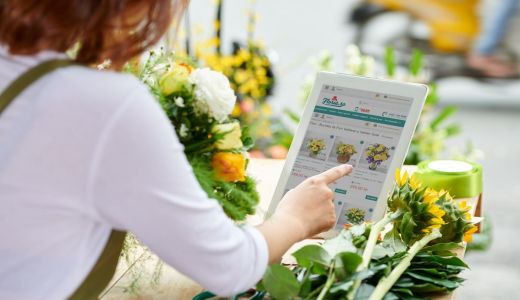 Ziua mondială a Orașelor: ce flori iubesc românii