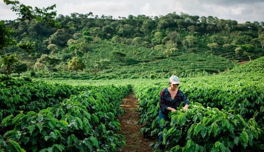 5 lucruri pe care trebuie să le știi despre pasiunea pentru cafea la Starbucks