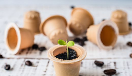 Au apărut capsulele de cafea biodegradabile. Ultima inovație în domeniul  cafelei, acum și în România