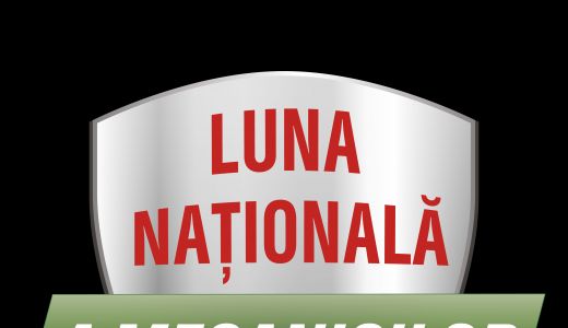 Castrol lansează Luna Mecanicii Naționale