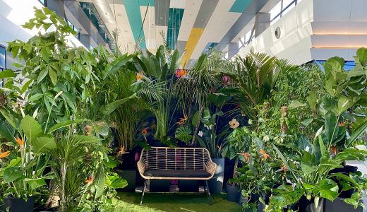 #EXTRANATURA instagramabilă în Sun Plaza, pentru cele mai reușite selfie-uri