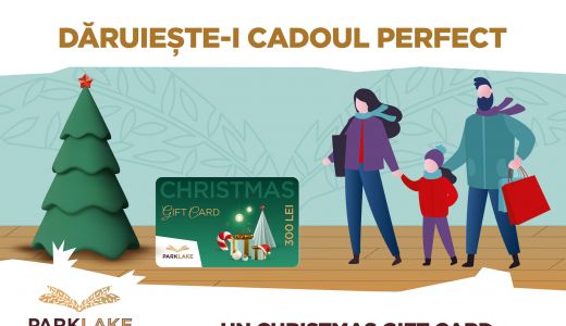PARKLAKE TE INVITĂ SĂ CELEBREZI CRĂCIUNUL CU UN CADOU PERFECT PENTRU CEI DRAGI