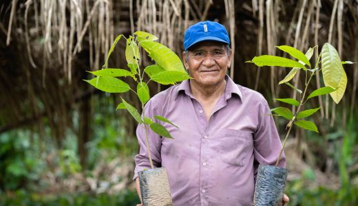 Un cunoscut brand suedez plantează mii de copaci cu ajutorul clienților săi