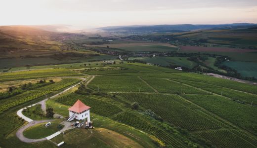 Escapadă de 1 Mai: descoperă istoria și tradițiile cramei din Valea Târnavelor