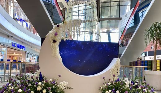 Călătorie EXTRAterestră în Universul Florilor