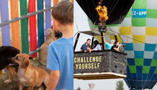 În cadrul festivalului RiseUP - Bucharest on the Sky by MachineMan, prin ASPA București, au fost adoptați  36 de căței și 22 de pisicuțe fără stăpân