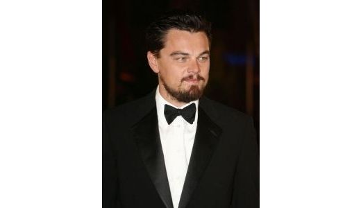 Doi ani de închisoare pentru femeia care l-a atacat pe Leonardo DiCaprio.