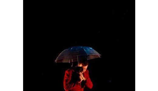 Ce spectacole puteţi vedea în weekend la Teatrul Naţional de Operetă.