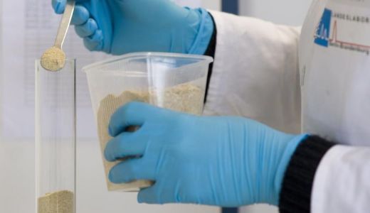 Aproximativ 136.000 de ouă de provenienţă germană, confiscate în Olanda.