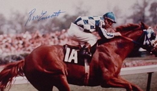 Secretariat, uimitoarea poveste a unui cal de curse.
