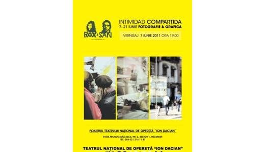 Expoziţia Intimidad Compartida, la Teatrul Naţional de Operetă „Ion Dacian”.