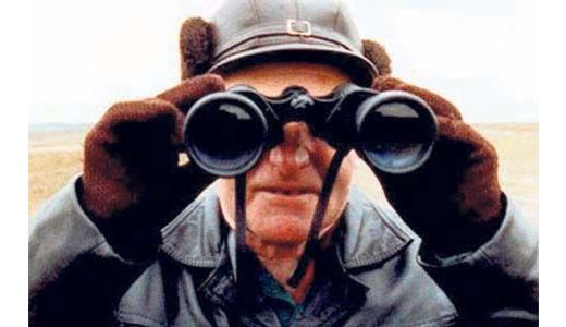 Opt zile de film austriac.