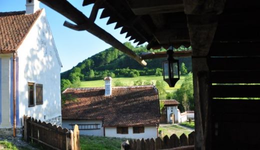 FOTO Filmul "Wild Carpathia", difuzat în peste 120 de ţări.
