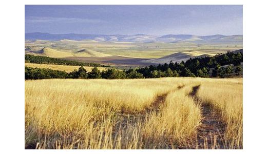 Dobrogea, fiică de rege get şi de dansatoaRe tătăroaică.