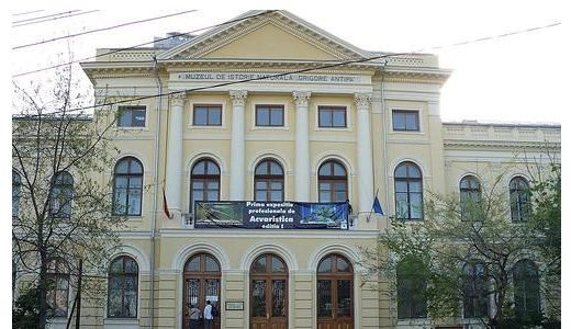 Descendenţa speciei umane:  Studii şi schiţe paleoantropologice.