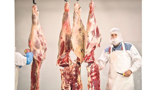 Bomba „carne de cal din România“, dezamorsată.