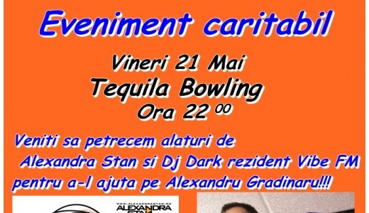Alexandra Stan canta pentru un caz umanitar
