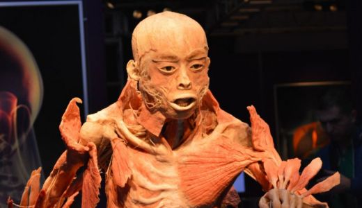 Cadavrele de la Antipa, 50 de lei de fascinaţie şi dezamăgire. GALERIE FOTO.