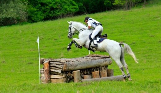 Pregatirile pentru Transylvania Horse Show au intrat in linie dreapta.