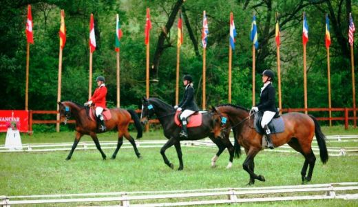 Expertii concursurilor hipice internationale vin in Romania la Transylvania Horse Show 2013.
