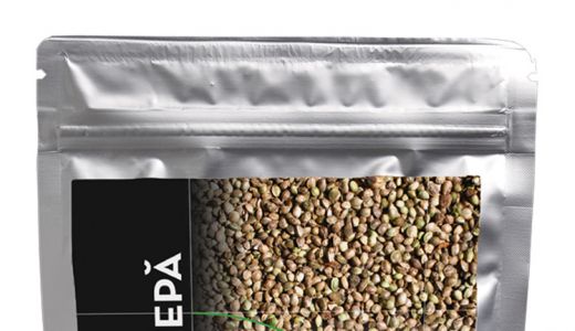 Canepa – cea mai bogata sursa de proteina
