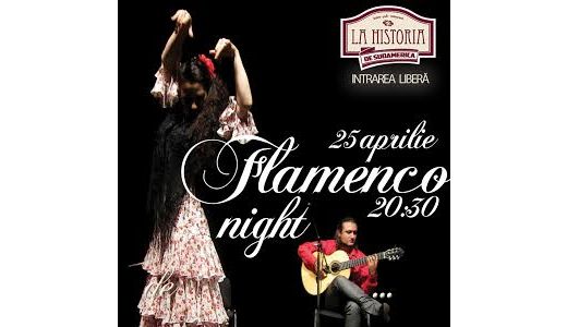 FLAMENCO NIGHT LA HISTORIA
