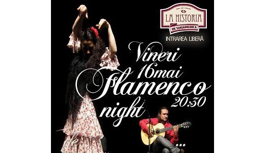 Flamenco La Historia cu Tiberiu Gogoanta si Pilar Diaz Romero