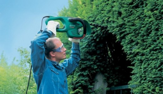 Dragos Bucurenci are un nou concept de viata cu Bosch: Green Living!