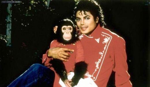 Bubbles, cimpanzeul lui Michael Jackson, vizitat de La Toya, dupa sase ani!