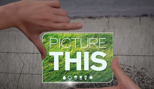 Campania globala pentru mediu: "Imagineaza-ti asta!"